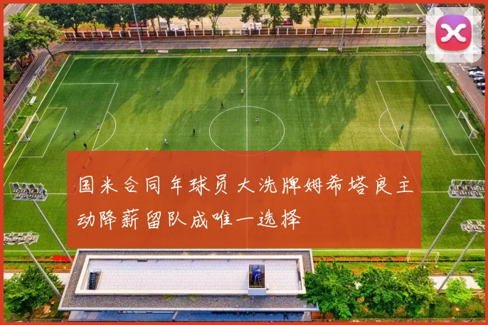 国米合同年球员大洗牌姆希塔良主动降薪留队成唯一选择